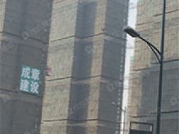 成章建设集团