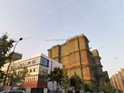 成章建设集团