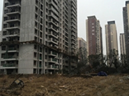 成章建设集团