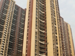 成章建设集团 